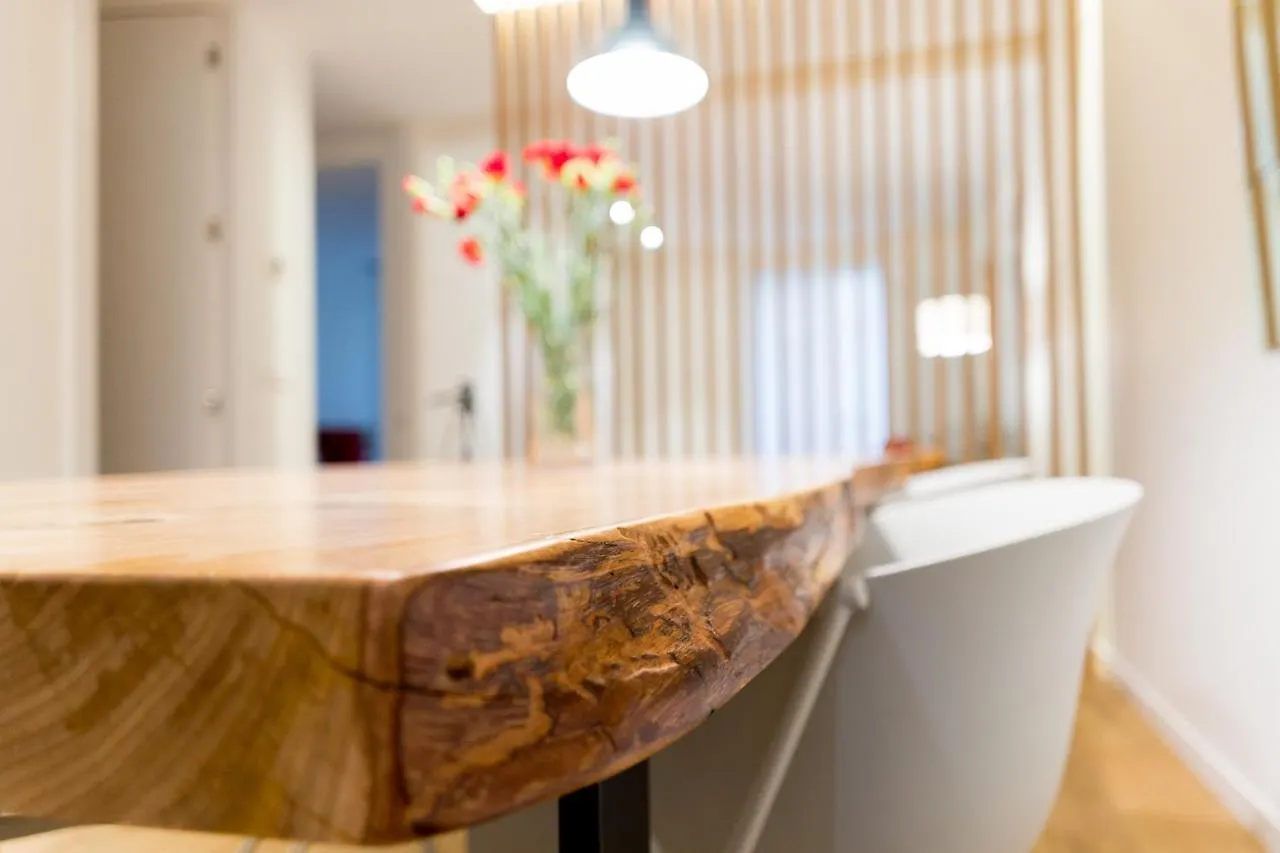 Fermin Suite - Iberorent Apartments San Sebastian Spain